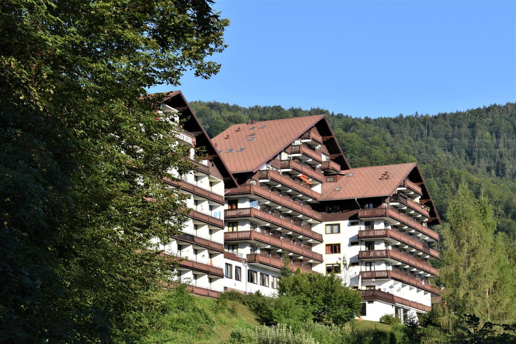 Apartment D'Auszeit 巴德哥依斯恩 外观 照片